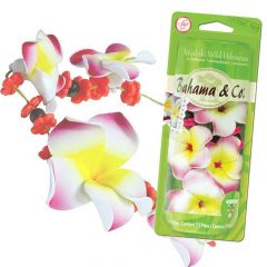 Bahama en Co Necklace Waikiki Wild Hibiscus